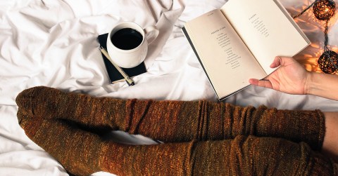 Featured Image - Novel Suspects - Fall reading recommendations