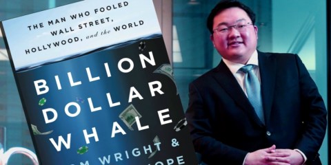 BillionDollarWhale_NovelSuspects