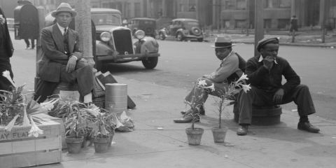 MysterySuspensebydiverseauthors_novelsuspects