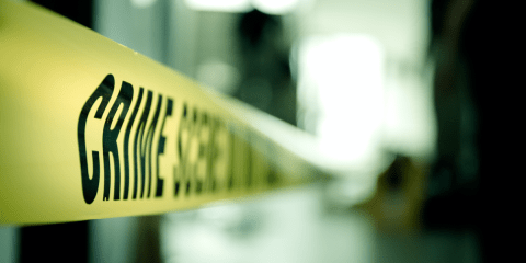 Audiobooks for February from AudioFile Magazine