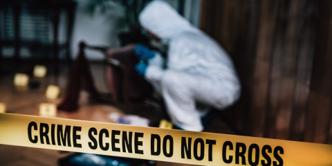 Confessions of a True Crime Addict_NovelSuspects