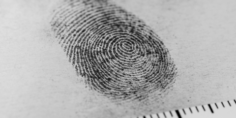 Detectives We're Excited to Read About This Year