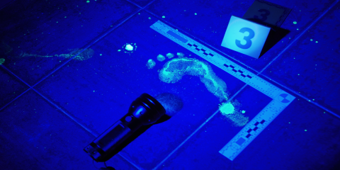 What is a Police Procedural?