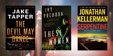 HollywoodDarkCrimeFictionNovelsToRead_NovelSuspects