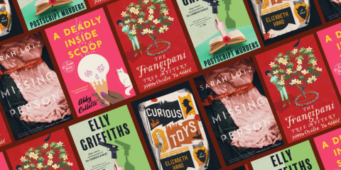 8 Great Books About Amateur Sleuths_NovelSuspects