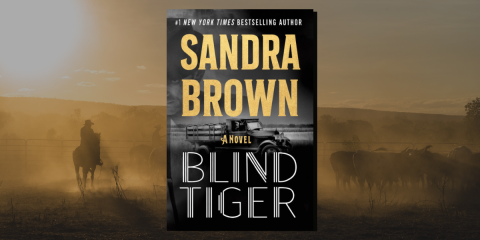 Excerpt Bind Tiger by Sandra Brown_NovelSuspects
