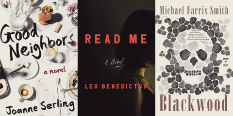 Literary Fiction Mystery Suspense_NovelSuspects