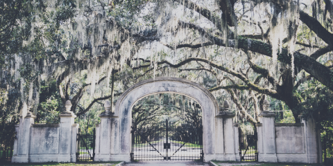 Seven Atmospheric Mystery Suspense Novels Set in the South