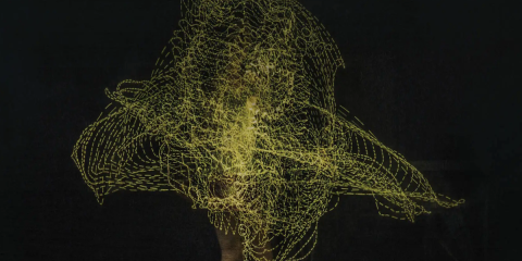 Verity by Colleen Hoover