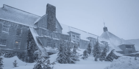 10 Suspenseful Novels Set in Hotels, Motels, and Inns