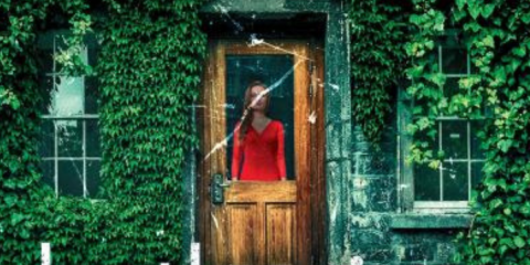 Psychological and Domestic Thrillers Coming This Year_Novel Suspects