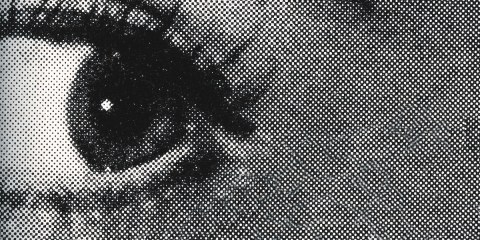 Best Friends Gone Wrong_NovelSuspects