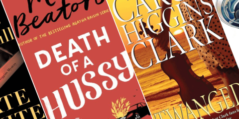 Curl Up with a Cozy Mystery_NovelSuspects