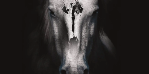 TheArtofHorror_NovelSuspects