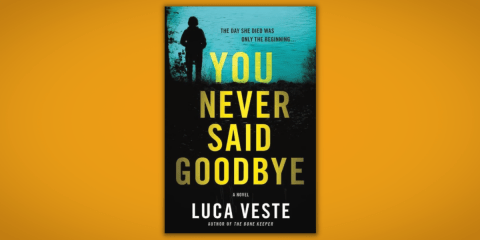 YouNeverSaidGoodbyeExcerpt