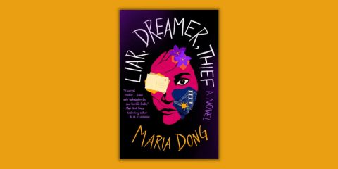 Liar, Dreamer, Thief Excerpt