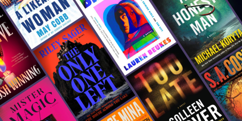 Our Most Anticipated Crime Fiction For the Summer_Novel Suspects