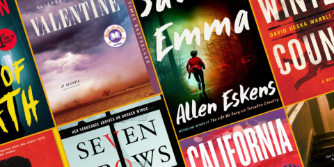 Powerful Vigilantes Fighting for Justice_Novel Suspects