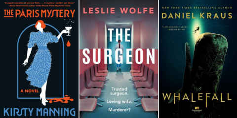 UnderratedMysteryThrillerBooks_Novel Suspects