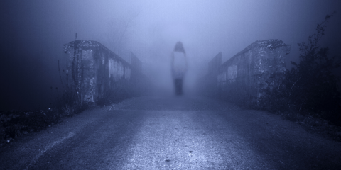 AdeleParksAuthorFeature_Novel-Suspects