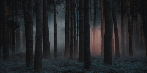 InThePines_Novel-Suspects