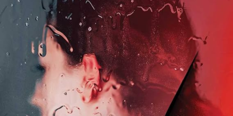 UnusalBrilliantBooks_Novel-Suspects