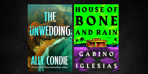 Readalongs_Novel Suspects