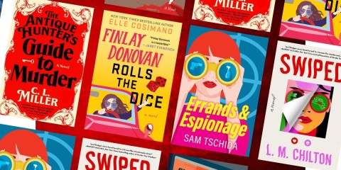 lightheartedthrillers_NovelSuspects