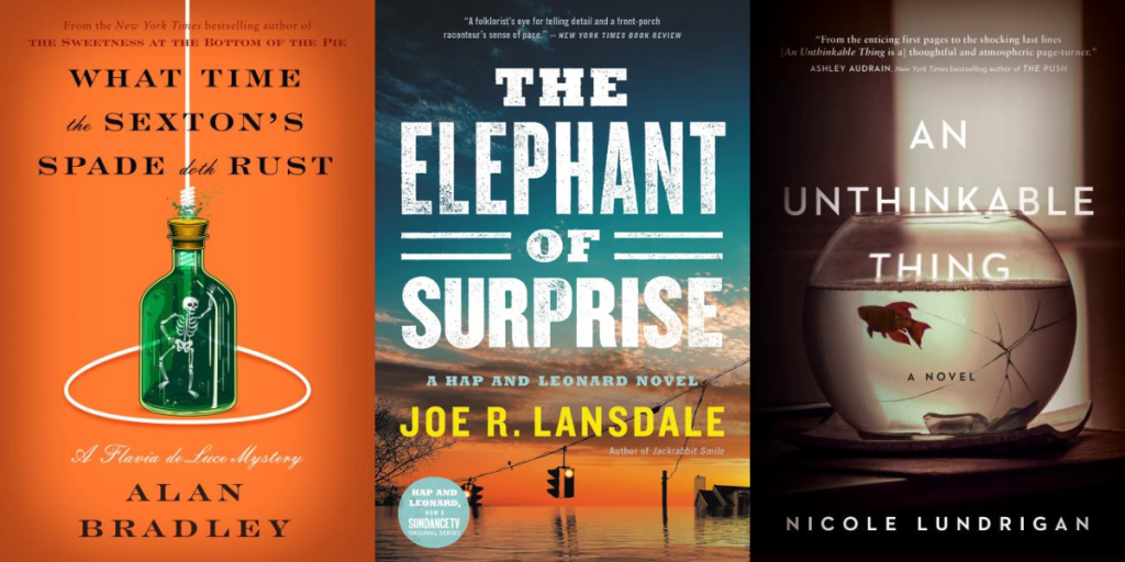 Three book covers of books about unlikely pairs in mystery suspense.