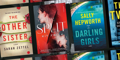 Unbreakable Sibling Bonds in Thriller Books