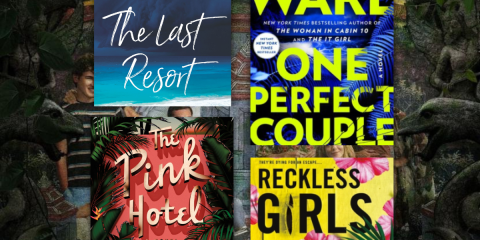 Books to read if you love HBO White Lotus The Last Resort One Perfect Couple The Pink Hotel Reckless Girls