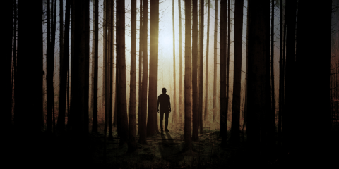 Allison Gunn author of NOWHERE on fear of disappearances - man standing ominously in woods