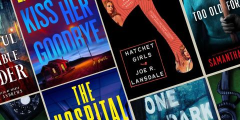 Mystery and thriller books pubbing August 2025 book covers.