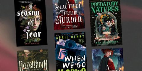 New young adult mysteries, thrillers, and horror books to read this summer book covers.