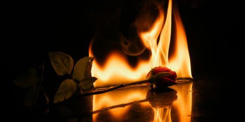 HeartthrobsandHomicide_NovelSuspects