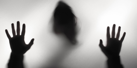 TheHorrorInsideYou_NovelSuspects