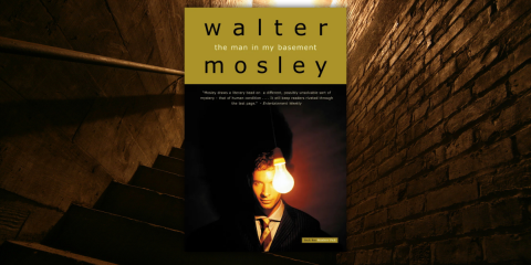 themaninmybasementreview_novelsuspects