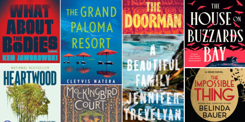 bestthrillersaccordingtothenyt_novelsuspects