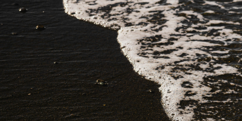 Portablereads_novelsuspects