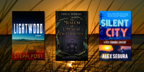 Sunshinestatesecrets_novelsuspects_518031