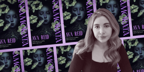 avareidQA_novelsuspects